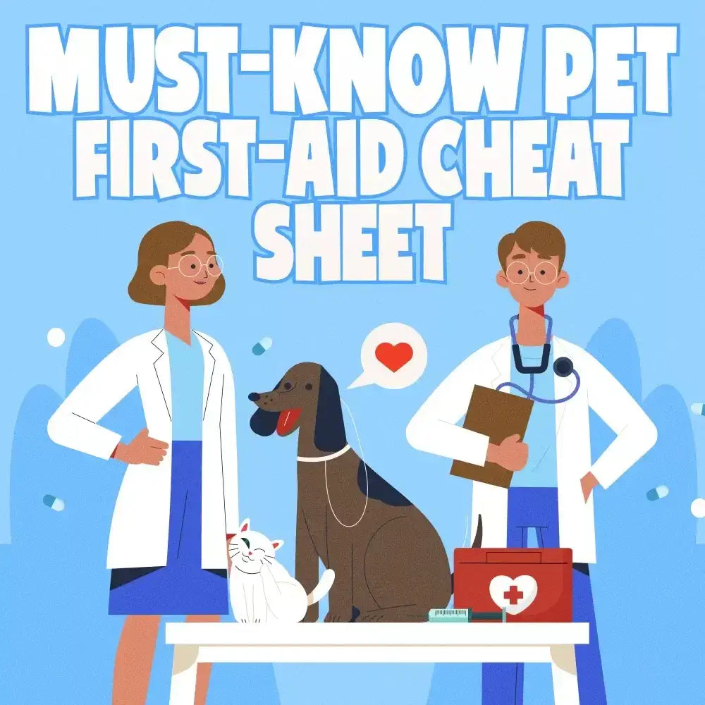 Must-Know Pet First-Aid Cheat Sheet | Emergency Printable Guide for Pet Owners | Vet Tips