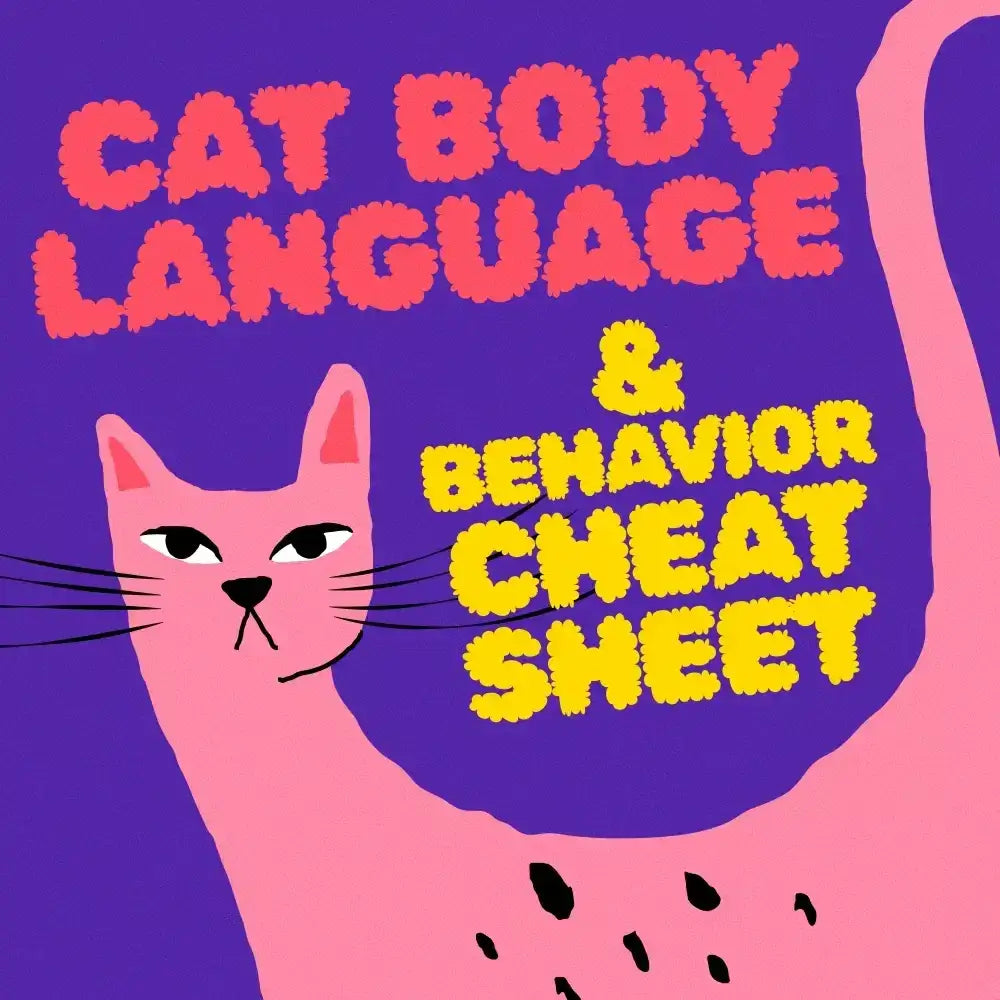 Cat Body Language & Behavior Cheat Sheet | Printable Cat Communication Guide | Learn Feline Signals, Postures & Meows
