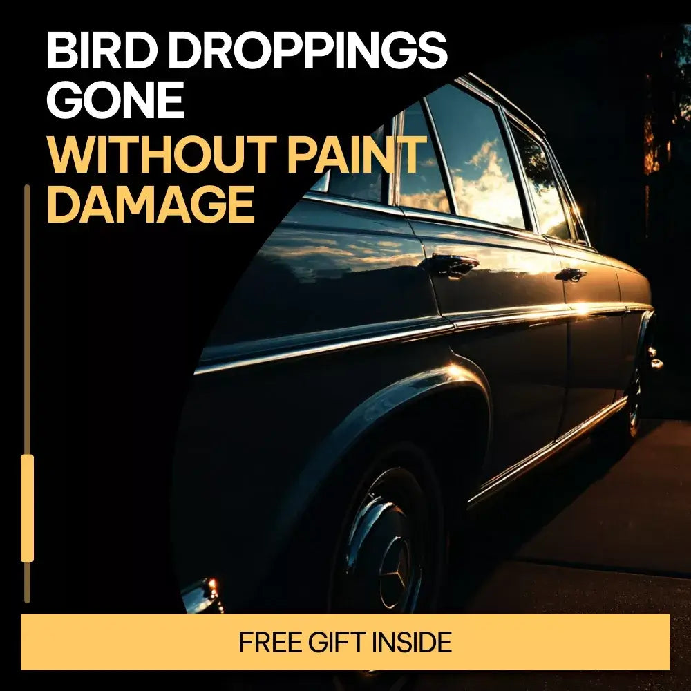 Bird Droppings Gone Without Paint Damage – A Practical Guide on how to remove bird droppings from car paint Safely & Easily