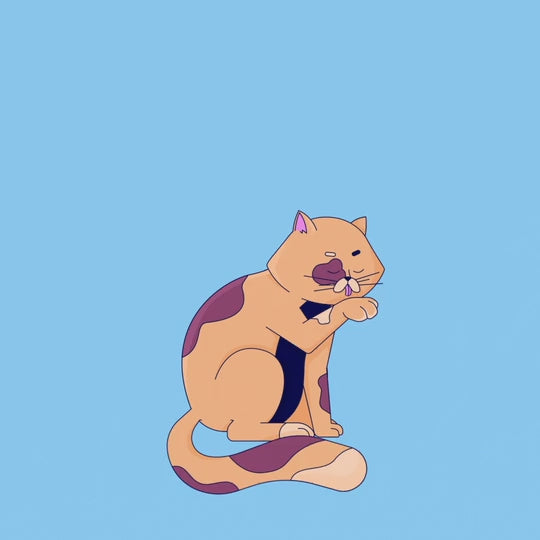 Illustration of a content cat licking its paw against a blue background.
