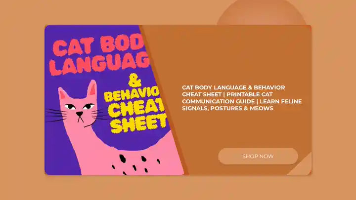 Cat Body Language &amp; Behavior Cheat Sheet | Printable Cat Communication Guide | Learn Feline Signals, Postures &amp; Meows by@Outfy
